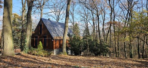 Bohém Kabin & Wellness3