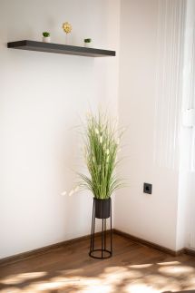 Green Palm Apartment5