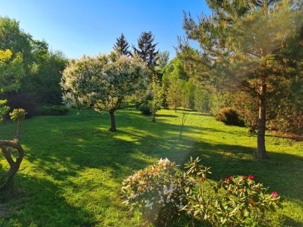 Csak a Miénk Házikó13