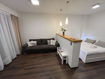 Danube Studio Apartment9