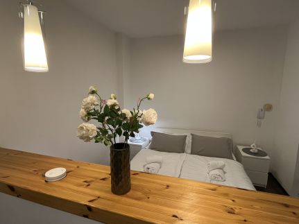 Danube Studio Apartment7