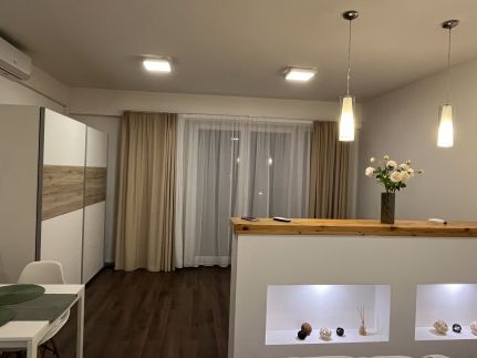 Danube Studio Apartment8