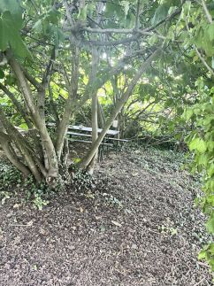 Menyecske Vendégház35