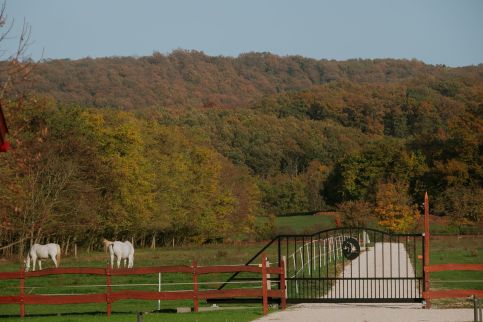 LeNora Vendégház28