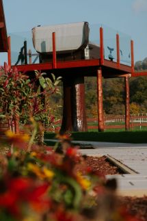 LeNora Vendégház29