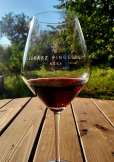 Juhász Pincészet és Vendégház12
