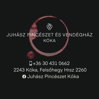 Juhász Pincészet és Vendégház13