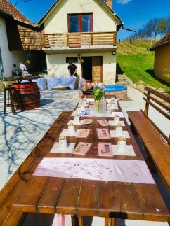 Juhász Pincészet és Vendégház14