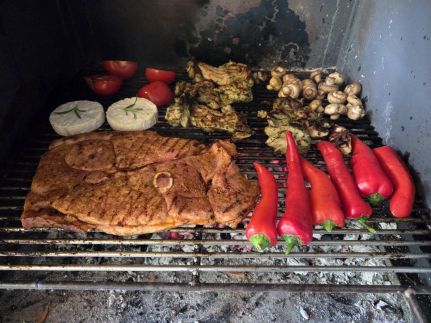 Meszes Twins Apartman Kalocsa21