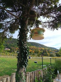 Gyémántos Vendégház13