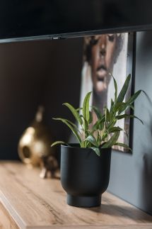 Greyhouse Apartments42