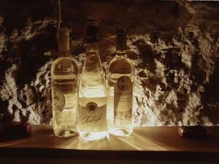 Szent Flórián Tűzoltó Panzió16