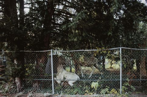Szent Flórián Tűzoltó Panzió22
