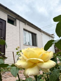 Fehérlak Vendégház1