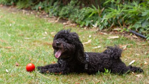 Platán Garden & Rooms23