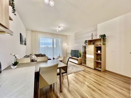 UniversityAquaticumGreatForestClinicalCenter17