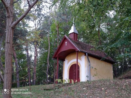 Tücsök Vendégház20