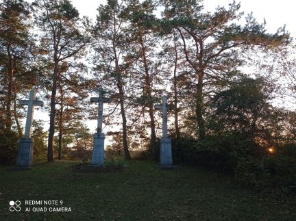 Tücsök Vendégház21