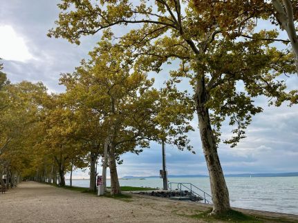 FöldvárLoft Apartman13