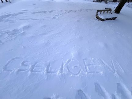 Cseligevi Vendégház11