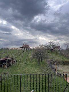 Cseligevi Vendégház22