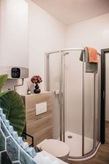 Luxury Wellness Home Fonyódliget18