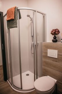 Luxury Wellness Home Fonyódliget19