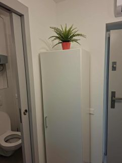 Jázmin Apartman Juventus Homes4