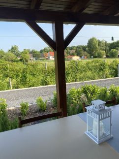 Rizling Vendégház7