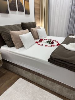 Steersman Apartman22