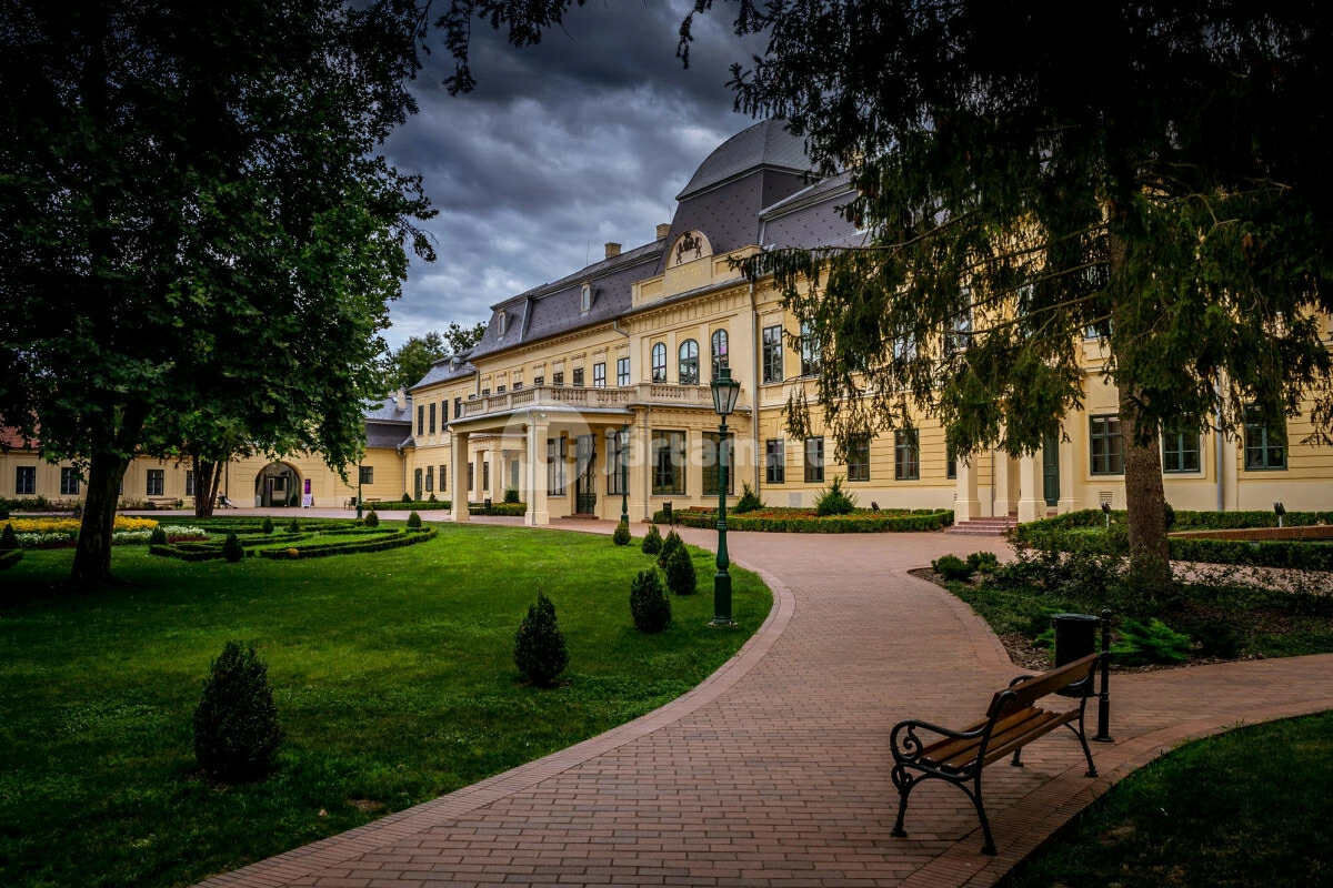 Steersman Apartman – Gyula fotó 5