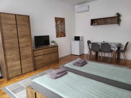 Downtown Studio Apartman9