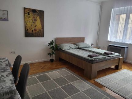 Downtown Studio Apartman