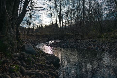 Élet Fája Vendégház1