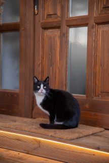 Árnyaskert Vendégház31