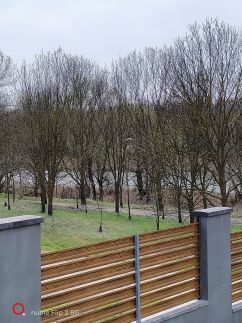 Töreki Gyöngye Vendégház8