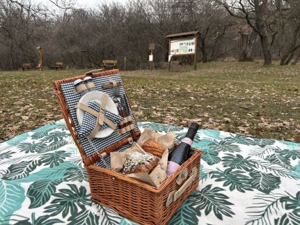 MILA Panoramic Apartment35