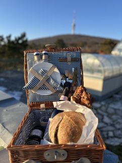 MILA Panoramic Apartment23