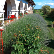 Villa Negra Vendègház