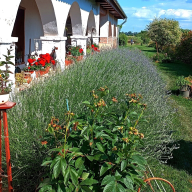 Villa Negra Vendègház