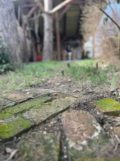 Mandulaág Vendégház23