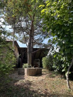 Mandulaág Vendégház1