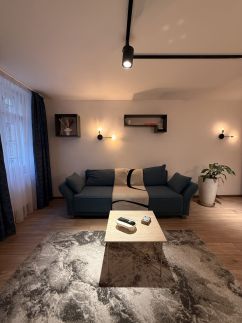 T15 Town Center Loft Apartment 11