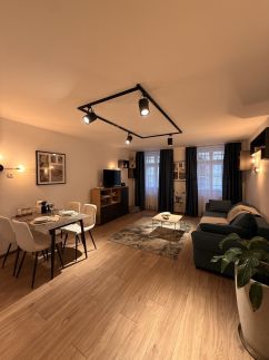 T15 Town Center Loft Apartment 1