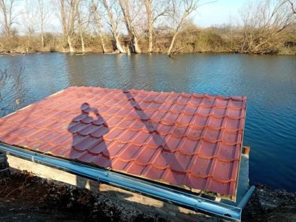 Silver Carp Vendégház Mezőtúr3