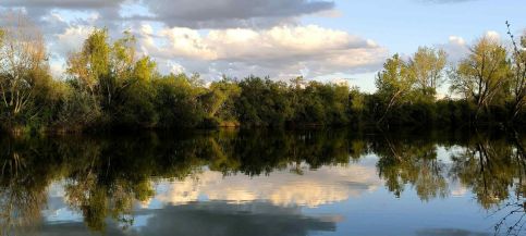 Silver Carp Vendégház Mezőtúr5