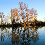 Silver Carp Vendégház Mezőtúr
