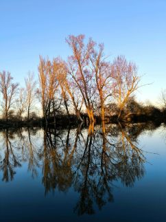 Silver Carp Vendégház Mezőtúr