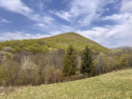 Erdei Nyugalom Vendégház9