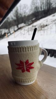 Erdei Nyugalom Vendégház8